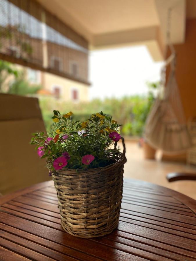 Apartman Rose-2025 Renovated Garden View Poreč Zewnętrze zdjęcie