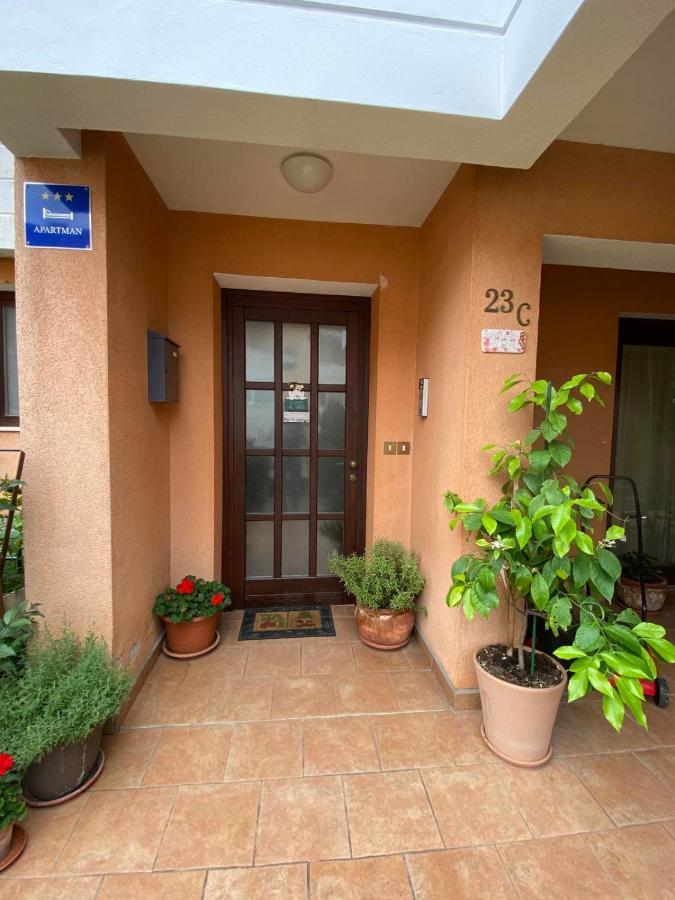 Apartman Rose-2025 Renovated Garden View Poreč Zewnętrze zdjęcie